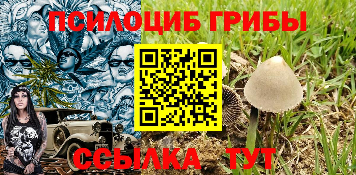 что такое наркотик  Галлюциногенные грибы мицелий  Вход с VPN  Усолье-Сибирское 